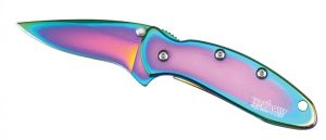 Kershaw- 1600VIB -Chive Assisted Opening Folding Pocket Knife (1-15/16" Blade, Rainbow, Stainless Steel Handles )