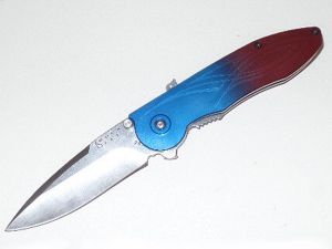 BUCK- 297-BL-0 - RUSH Assisted Opening Folding Pocket Knife ( 3" Stainless Steel Knife)