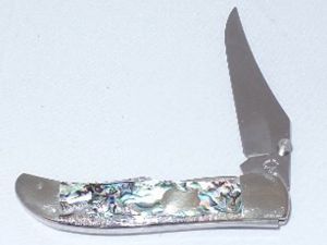 CASE- 05275 -Mid HTR PAUA Folding Pocket Knife with Leather Pouch ( 2.5" Stainless Steel Blade )