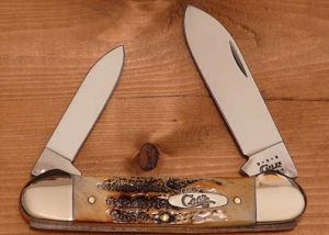 CASE- 05537 -Baby Butterbean Stag Folding Pocket knife ( 1.5" Stainless Steel Blade ) 05537