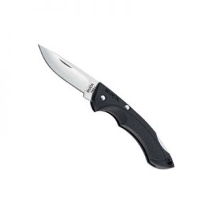Buck Knives-0283BKS Nano Bantam Keychain Folding  Lockback Knife, 1-7'8 Satin Blade, Black GFN Handles, With Lanyard Hole