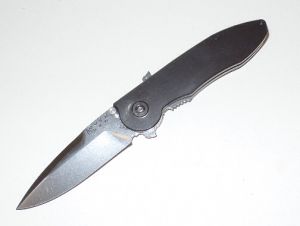 BUCK- 298-GY-0 - SIRUS GY ATS34 Assisted Opening Folding Pocket Knife ( 3" Stainless Steel Knife)