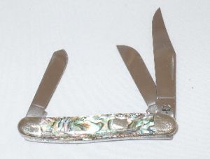 CASE- 05277 -Stockman Paua Folding Pocket Knife with Leather Pouch  ( 2.5" Stainless Steel Blade)