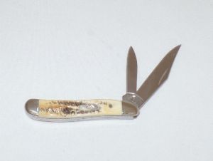 CASE- 63577 -Peanut Bonestag Folding Pocket Knife ( 1 3/8" Stainless Steel Blade ) 63577