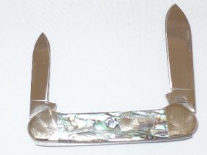 CASE- 05279 -Cande Paua Folding Pocket Knife with Leather Pouch ( 2.5" Stainless Steel Blade)