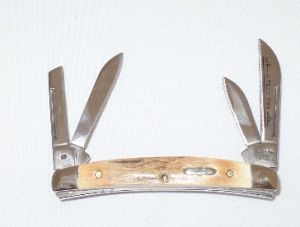 CASE- 06370 -Congress BRNT Stag Folding Pocket Knife with Leather Pouch  ( 1.8" Stainless Steel Blade )
