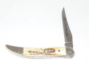 CASE- 06366 -Tiny Toothpick BRNT Stag Folding Pocket Knife with Leather Pouch( 1.5" Stainless Steel Blade )