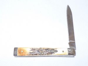 CASE- 06372 -Doctor's BRNT Stag Folding Pocket Knife ( 2.5" Stainless Steel Blade )