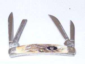 CASE- 06538 -Small Congress Folding Pocket Knife with Leather Pouch  ( 1.5" Stainless Steel Blade)