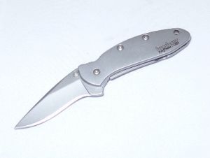Kershaw Knives-1660ST , Leek Assisted Opening Pocket Knife,3'' Part Serrated Blade, Stainless Steel Handles, No Box, (XXX) Seconds