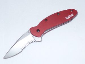 Kershaw-1620RDST-Scallion Assisted Opening Knife ( 2.25" Bead Blast Serr )